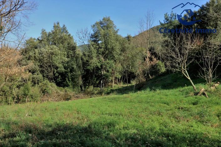 Image No.17-3 Bed House for sale