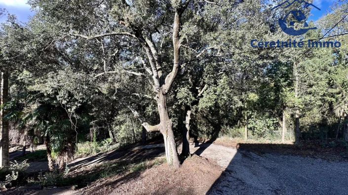 Image No.15-5 Bed House for sale