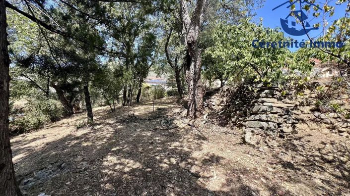 Image No.21-3 Bed House for sale