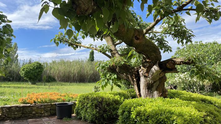 Image No.6-Maison de 5 chambres à vendre à Séguret