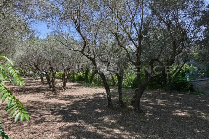 Image No.22-3 Bed House for sale