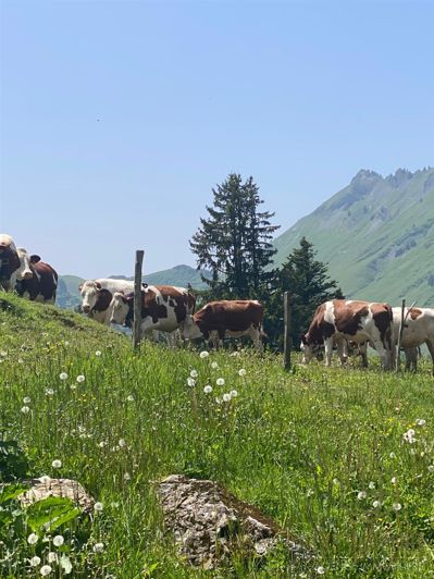 Image No.11-3 Bed Apartment for sale