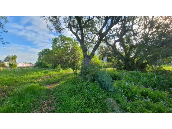 Image No.15-Maison de 5 chambres à vendre à Lagoa