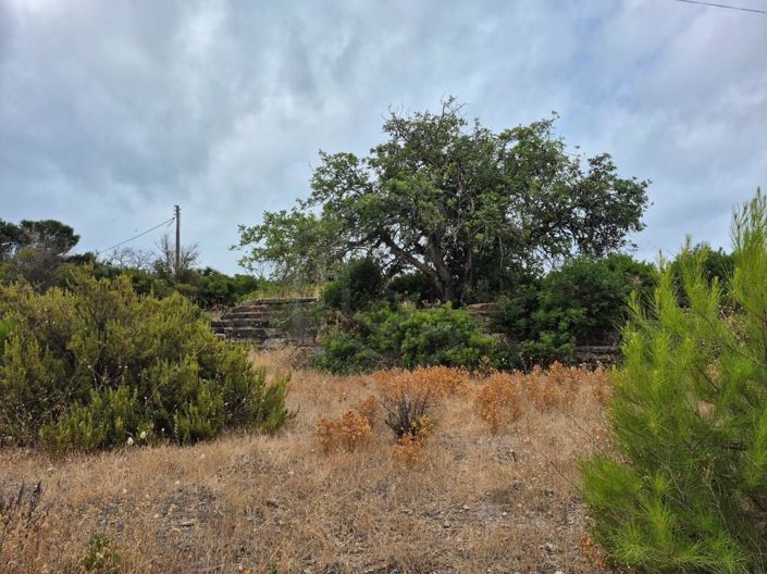 Image No.17-Maison de 5 chambres à vendre à Lagoa