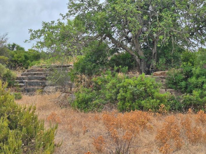 Image No.18-Maison de 5 chambres à vendre à Lagoa