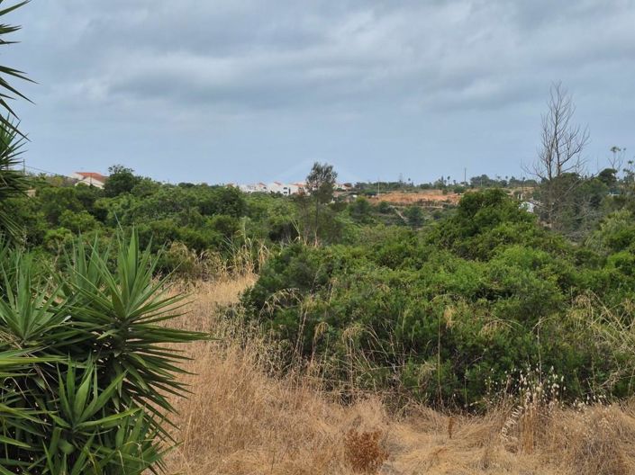 Image No.22-Maison de 5 chambres à vendre à Lagoa