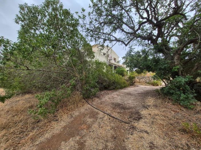 Image No.24-Maison de 5 chambres à vendre à Lagoa