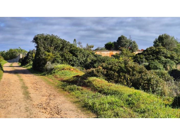 Image No.7-Maison de 5 chambres à vendre à Lagoa