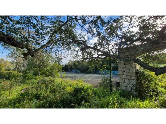 Image No.8-Maison de 5 chambres à vendre à Lagoa