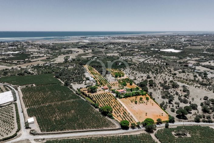Image No.12-Maison de 5 chambres à vendre à Cabanas de Tavira
