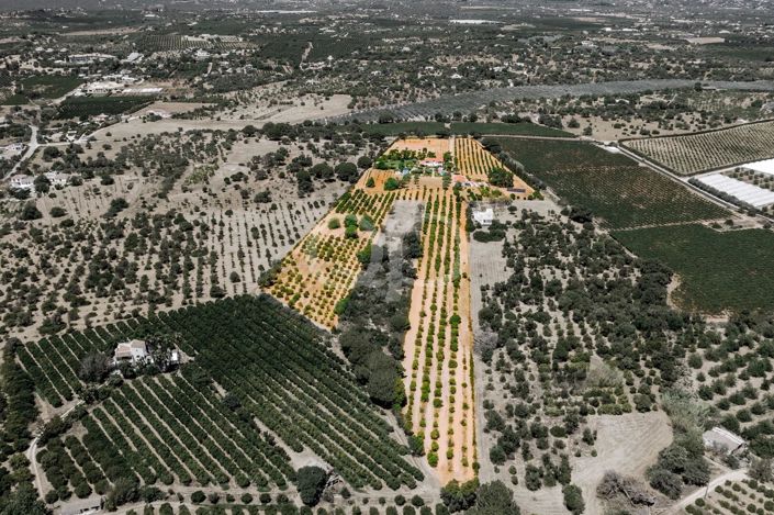 Image No.14-Maison de 5 chambres à vendre à Cabanas de Tavira
