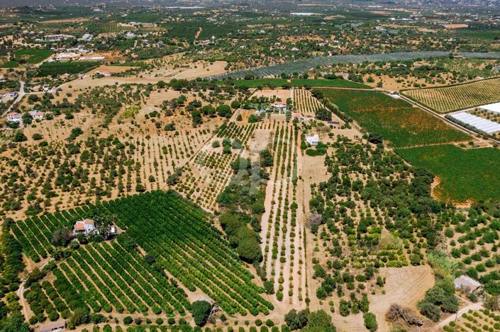 Image No.15-Maison de 5 chambres à vendre à Cabanas de Tavira