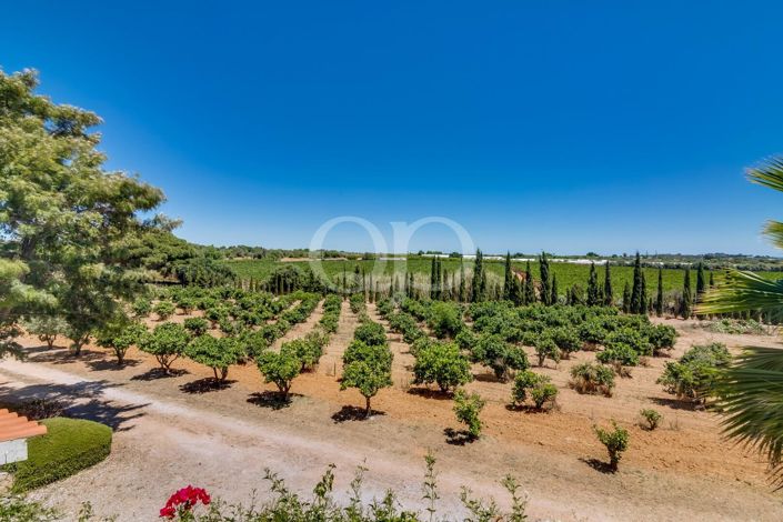 Image No.35-Maison de 5 chambres à vendre à Cabanas de Tavira