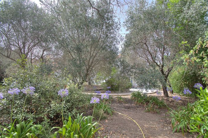 Image No.11-5 Bed Property for sale