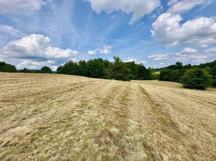 Image No.22-3 Bed House for sale