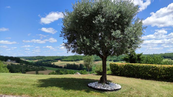 Image No.35-5 Bed House for sale