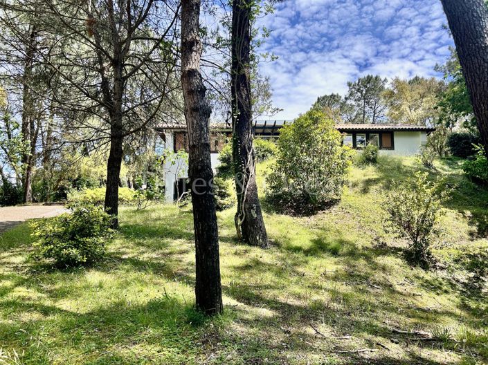 Image No.34-5 Bed House for sale