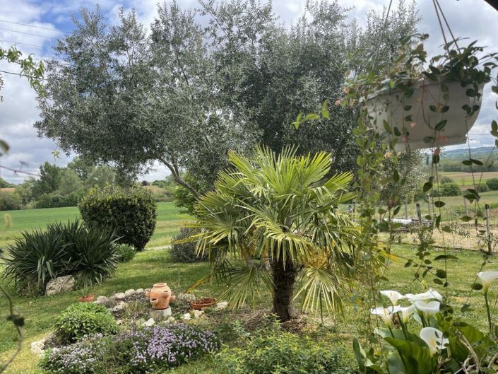 Image No.3-3 Bed House for sale