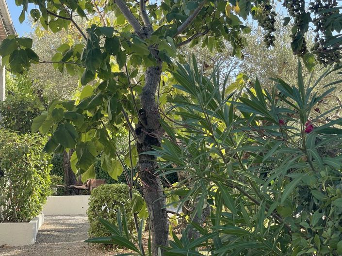 Image No.20-3 Bed House for sale