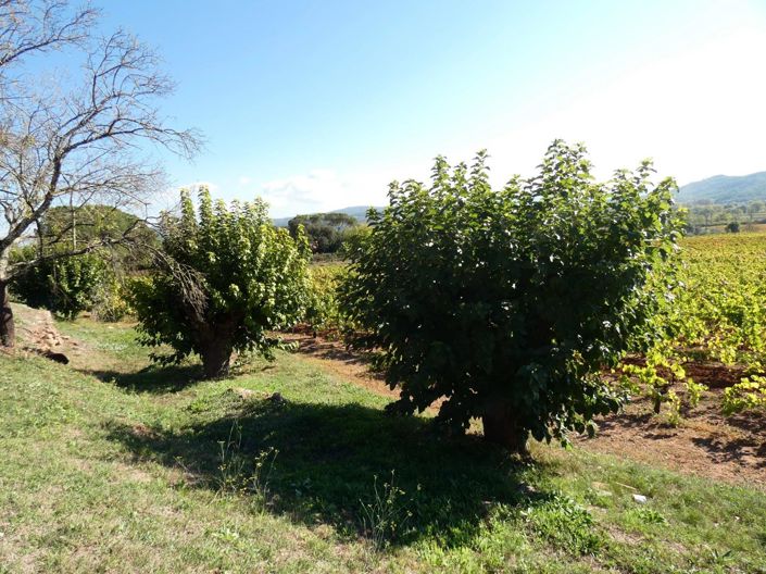 Image No.11-2 Bed House for sale