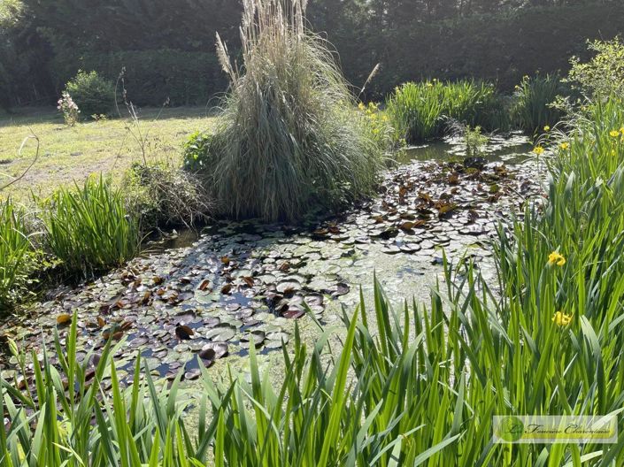 Image No.24-Maison de 4 chambres à vendre à Aigre