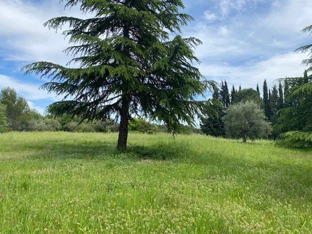 Image No.15-6 Bed House for sale