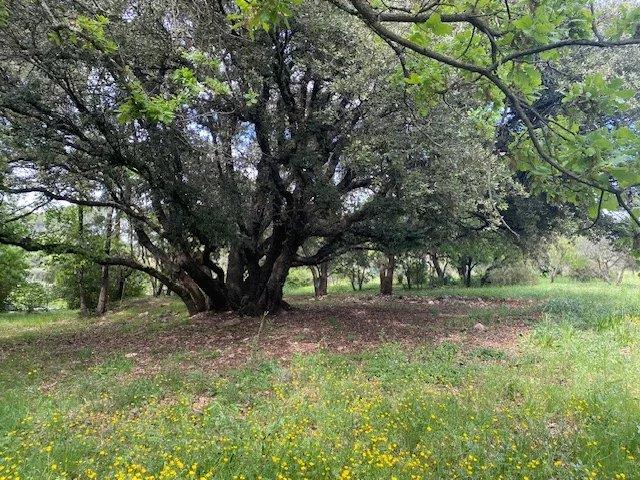 Image No.16-6 Bed House for sale