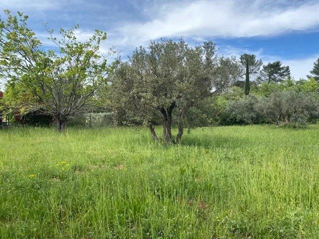 Image No.16-6 Bed House for sale