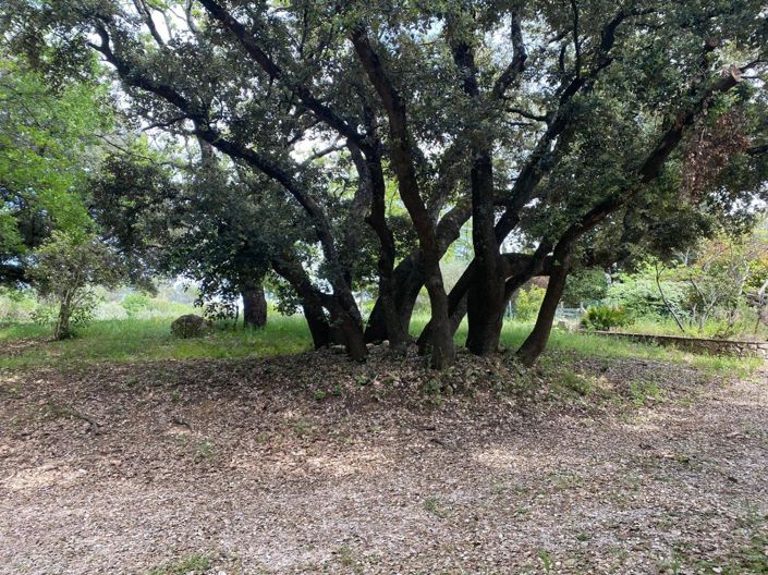 Image No.26-6 Bed House for sale