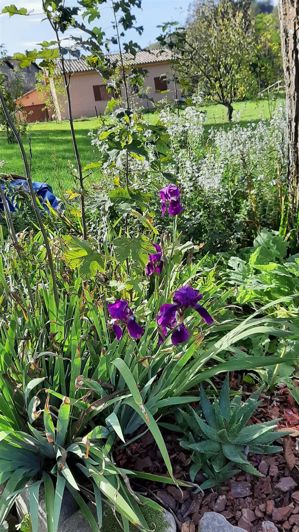 Image No.44-3 Bed House for sale