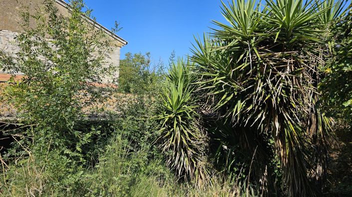 Image No.24-3 Bed House for sale