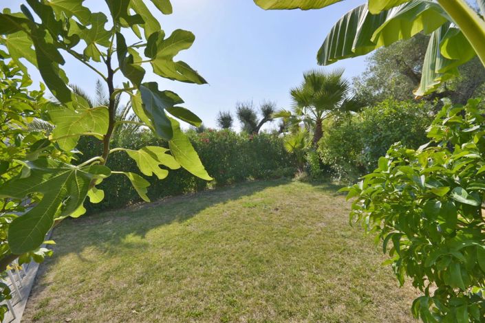 Image No.3-Maison de 3 chambres à vendre à Antibes