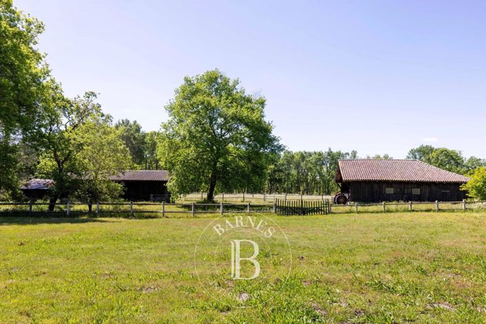 Image No.19-4 Bed House for sale