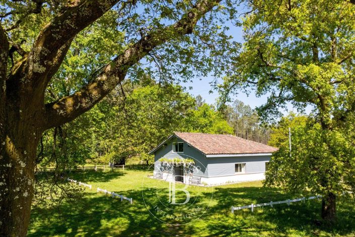 Image No.3-4 Bed House for sale