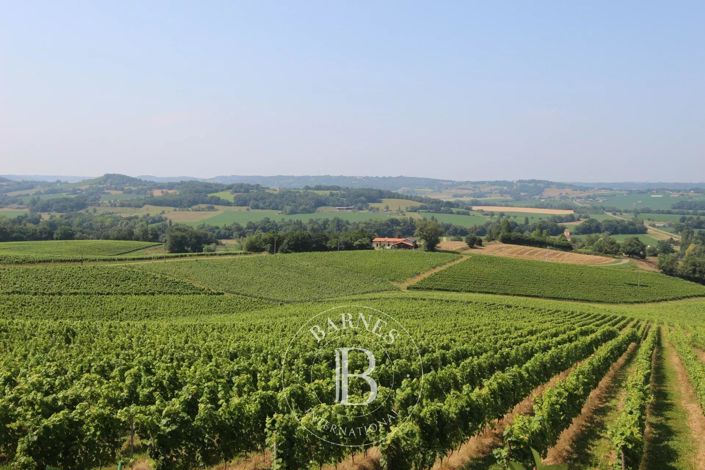 Image No.13-Maison de 4 chambres à vendre à Garlin