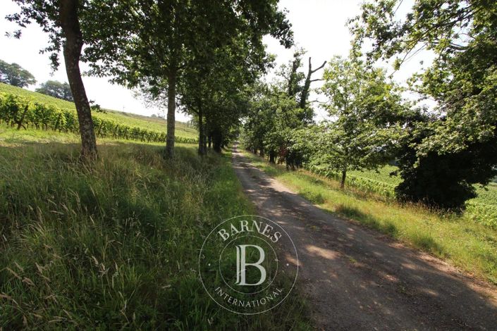 Image No.2-Maison de 4 chambres à vendre à Garlin