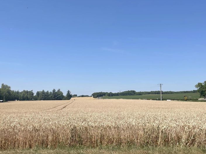 Image No.21-4 Bed House for sale