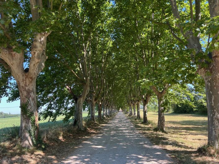 Image No.2-Propriété de 15 chambres à vendre à Avignon