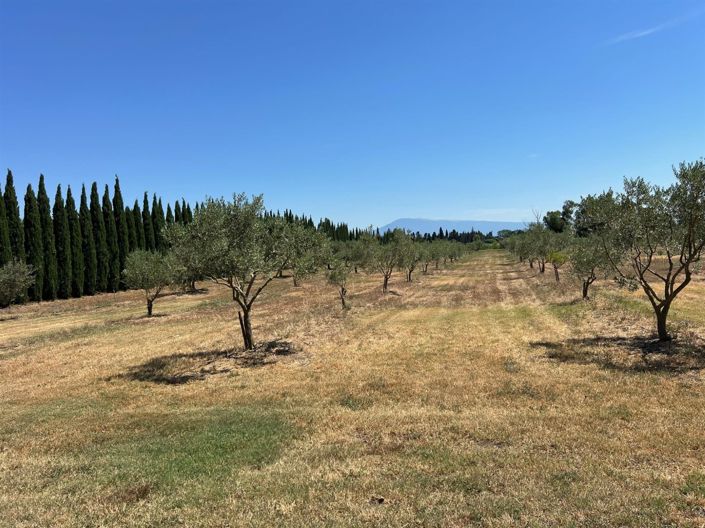 Image No.20-Propriété de 15 chambres à vendre à Avignon