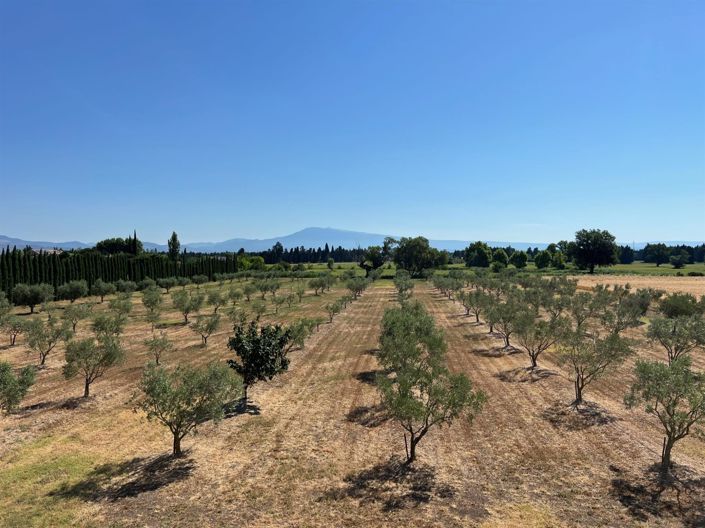 Image No.4-Propriété de 15 chambres à vendre à Avignon