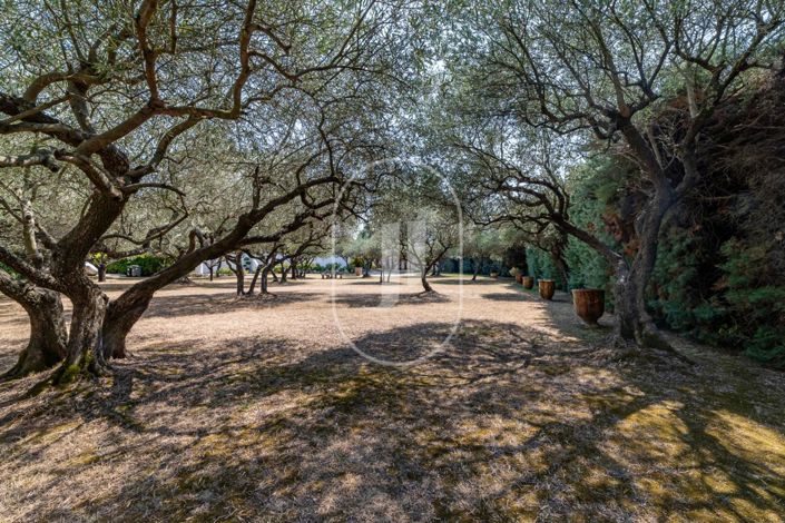 Image No.12-3 Bed House for sale