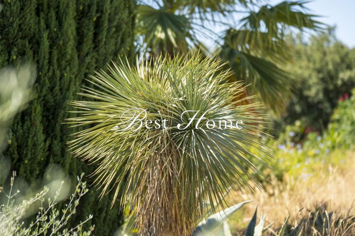 Image No.17-5 Bed House for sale