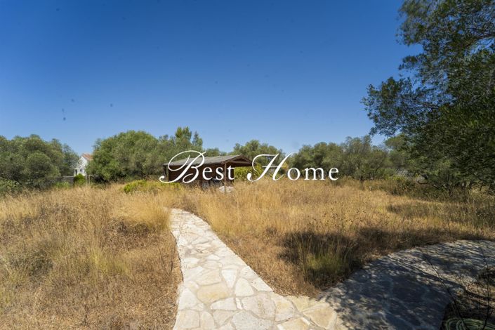 Image No.19-5 Bed House for sale