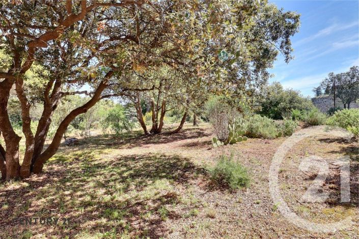 Image No.20-4 Bed House for sale