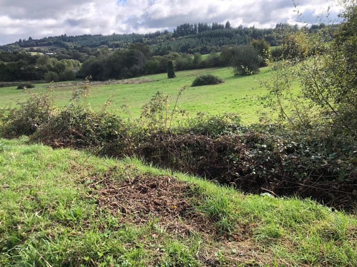 Image No.2-House for sale