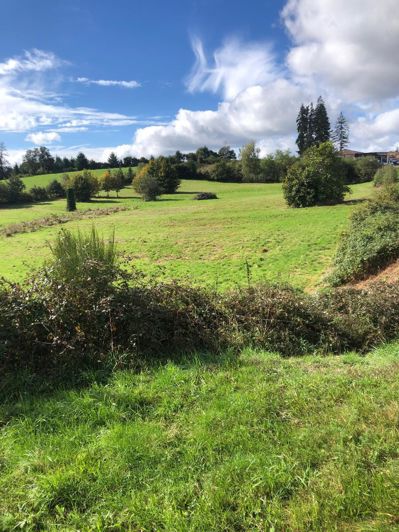 Image No.3-House for sale