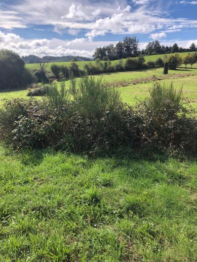 Image No.4-House for sale