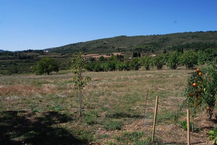 Image No.20-3 Bed House for sale