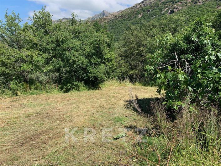 Image No.8-5 Bed House for sale