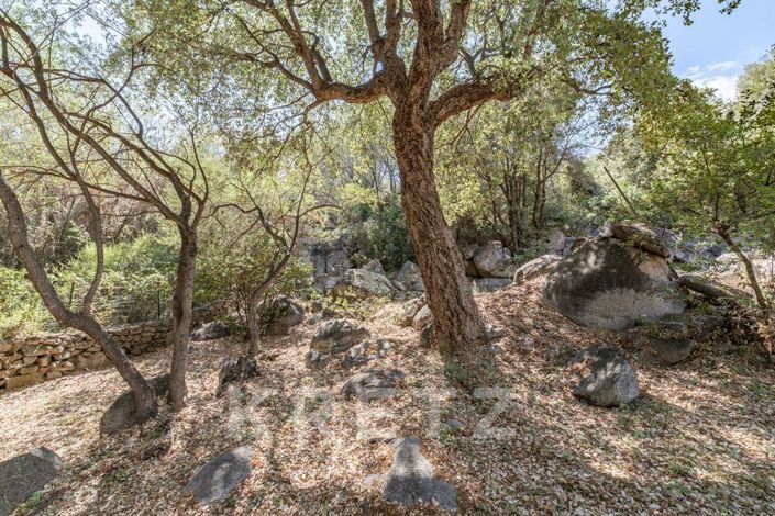 Image No.5-Maison de 6 chambres à vendre à Zonza